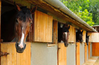 free Christmas Common stable construction quotes